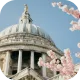 Building with a dome and vibrant flowers in front