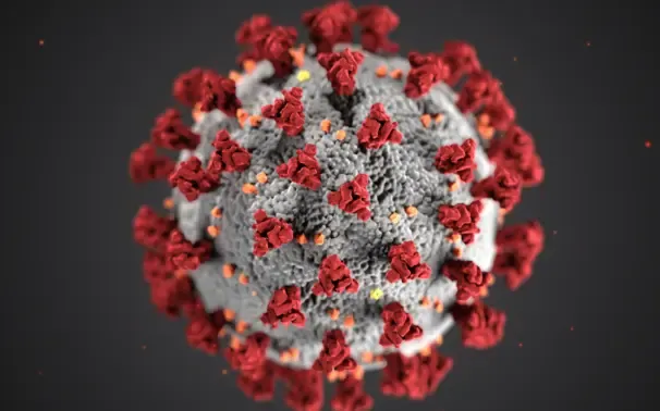 3D rendering of the COVID-19 coronavirus with red spike proteins, associated with the global pandemic and travel restrictions
