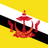 Flag of Brunei, featuring a yellow field crossed by two diagonal bands — white above black — and a red national emblem centered on the field.