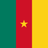 Flag of Cameroon, featuring three vertical bands in green, red, and yellow from left to right, with a yellow five-pointed star centered on the red stripe.