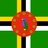 Flag of Dominica, with a green field divided by a centered cross of three bands in yellow, black, and white, and a red circle in the center featuring a purple parrot surrounded by ten green stars.
