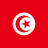 Flag of Tunisia with a red background, white circle, and red crescent and star