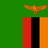 Flag of Zambia, featuring a green field with three vertical stripes in red, black, and orange at the right edge, and an orange eagle above the stripes near the top right corner.