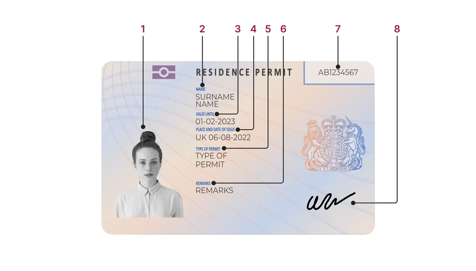 Ilustración de una copia frontal de BRP