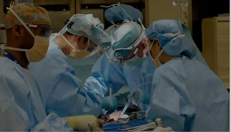 Ilustración de médicos y trabajadores de la salud como ejemplos de empleos en la Lista de Ocupaciones con Escasez